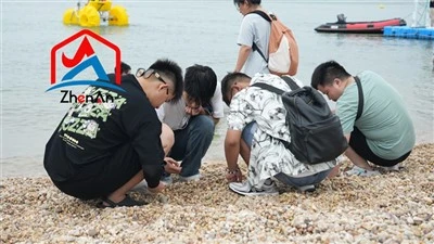 แท่งแมกนีเซียมคุณภาพดีมีความบริสุทธิ์สูง